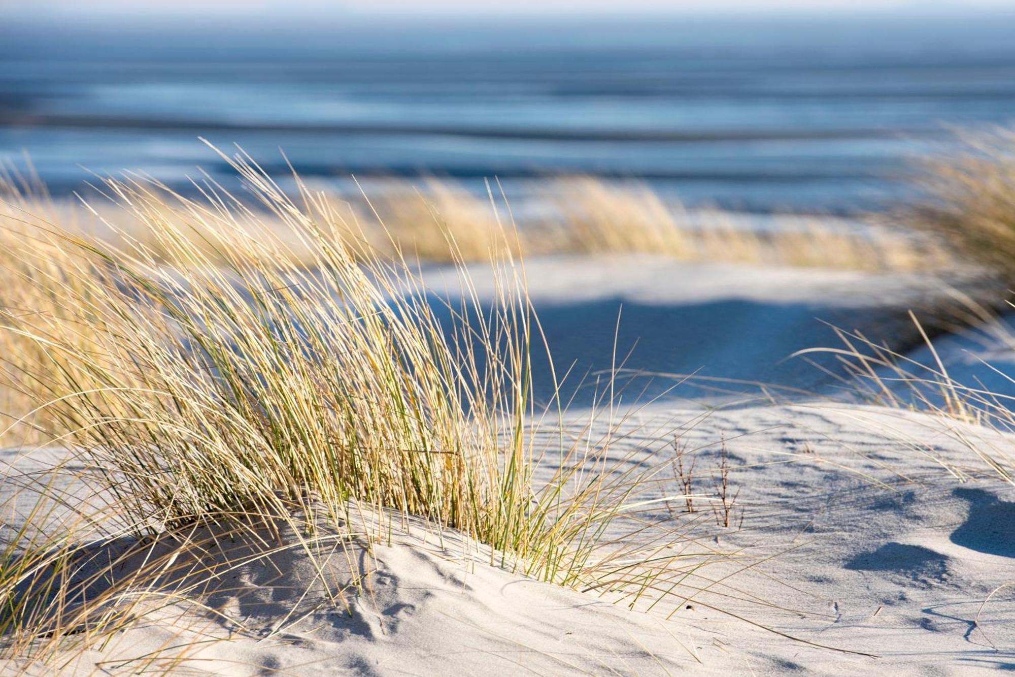 Baumzeltdorf Ostseebreeze Direkt Am Strand Dranske Luaran gambar
